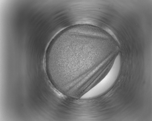 X0000070861076200606302040