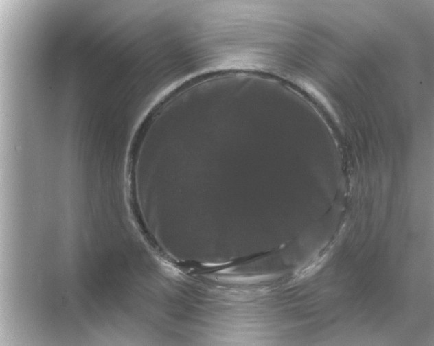 X0000070861077200606302040