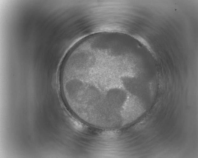 X0000070861078200606302040