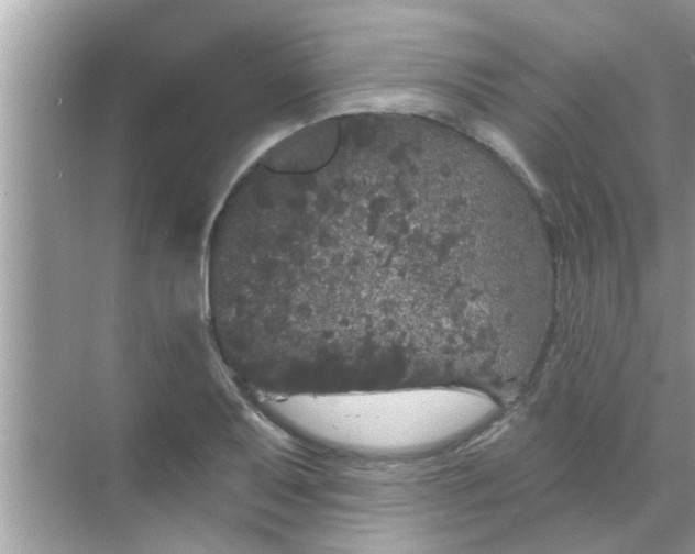 X0000070861079200606302040