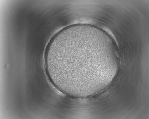 X0000070861080200606302040