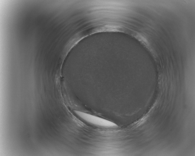 X0000070861081200606302040