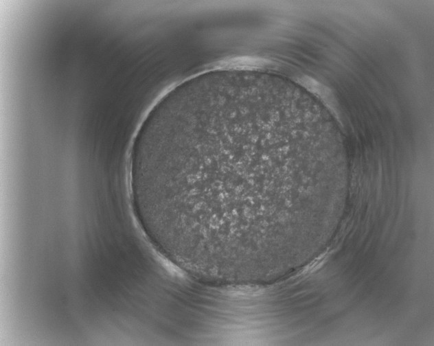 X0000070861083200606302040