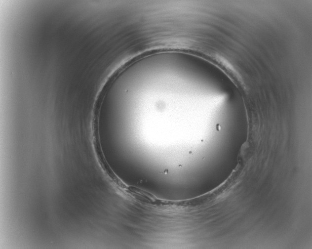 X0000070861085200606302040