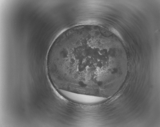 X0000070861087200606302039