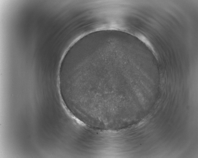 X0000070861088200606302039