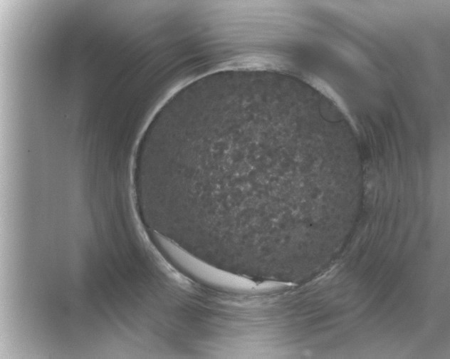 X0000070861091200606302039