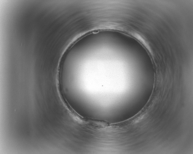 X0000070861093200606302039