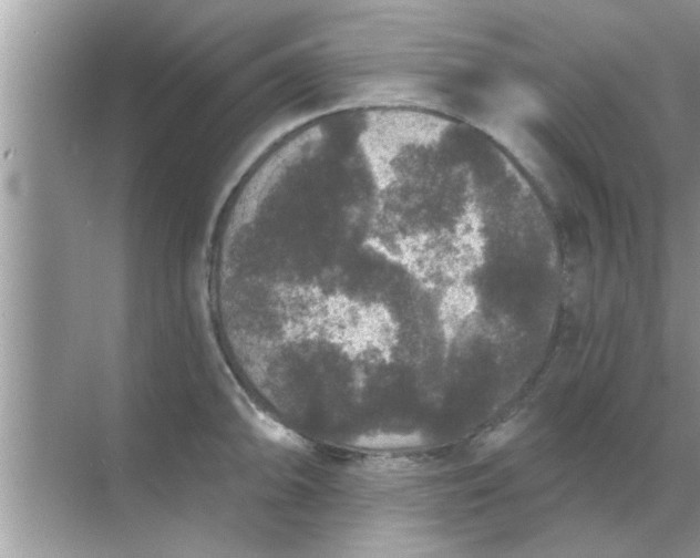 X0000070861094200606302039