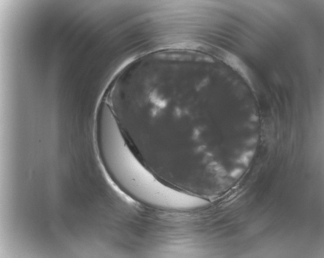 X0000070861095200606302039