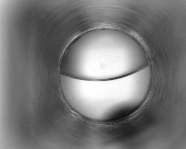 X0000070861097200606302039