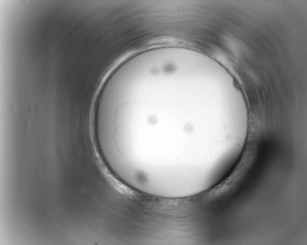 X0000070861098200606302039