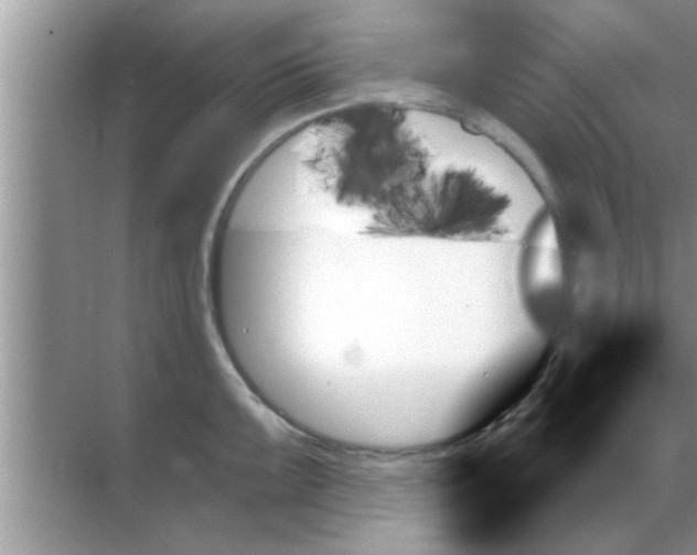 X0000070861099200606302039