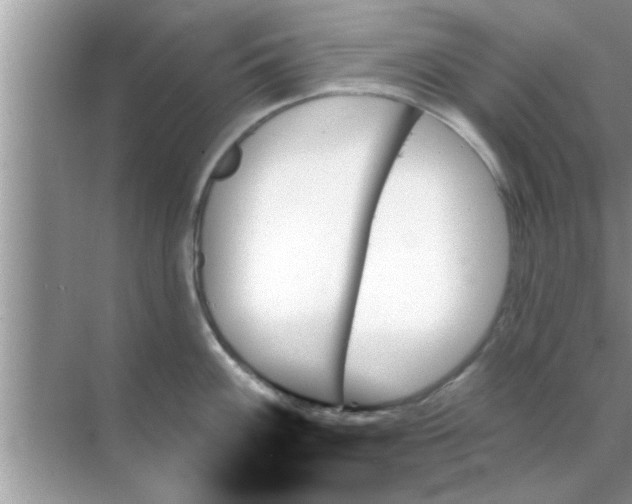 X0000070861100200606302039