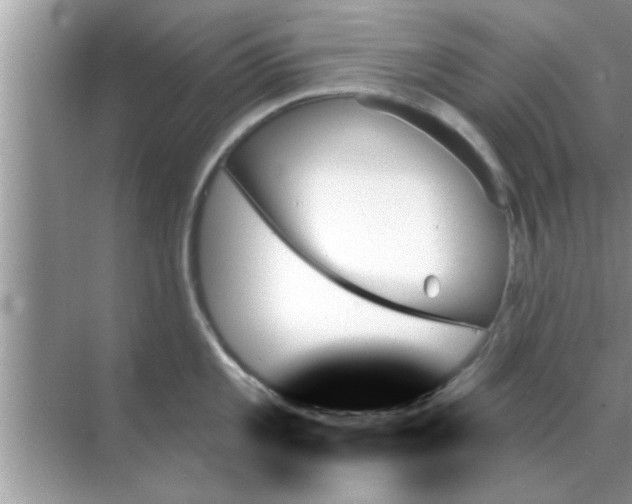 X0000070861101200606302039