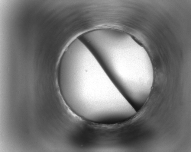 X0000070861102200606302039