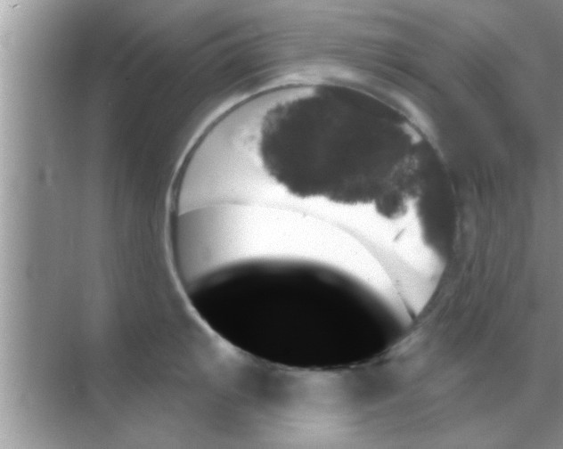 X0000070861103200606302039