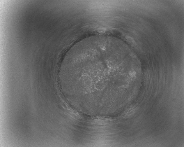 X0000070861105200606302038