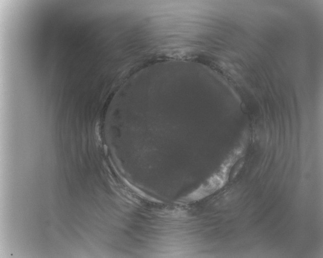 X0000070861106200606302038