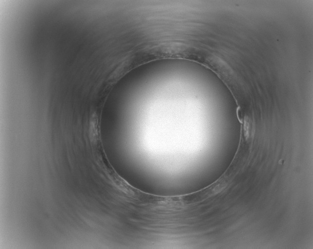 X0000070861107200606302038