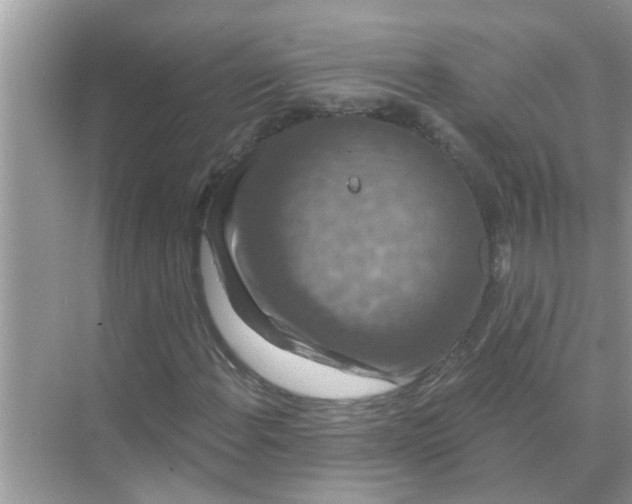 X0000070861108200606302038