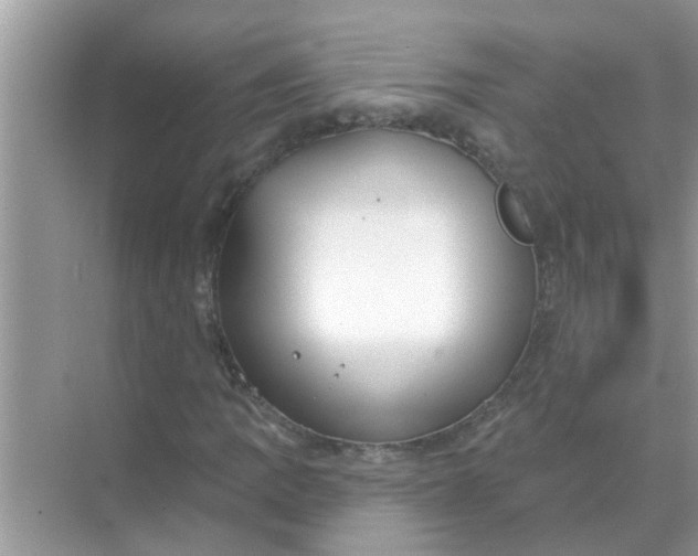 X0000070861109200606302038