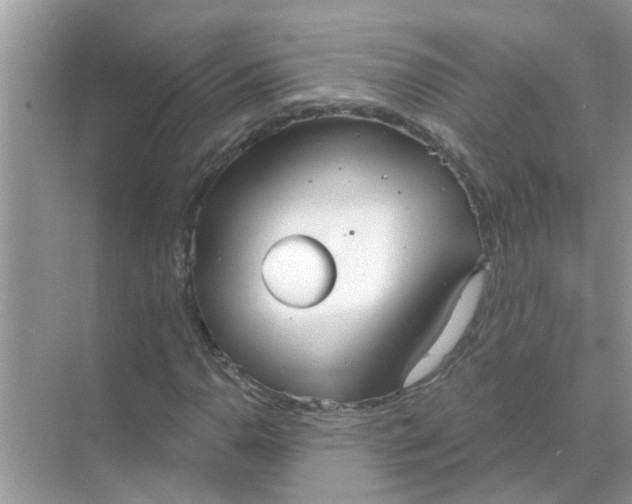 X0000070861110200606302038