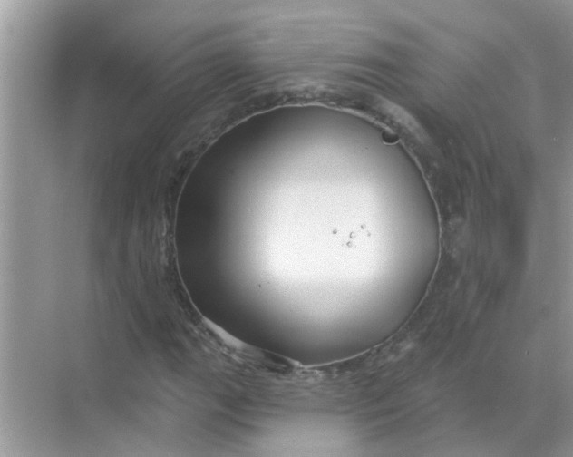 X0000070861111200606302038