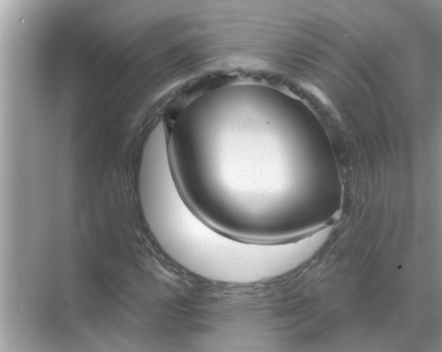 X0000070861112200606302039