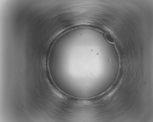 X0000070861113200606302039