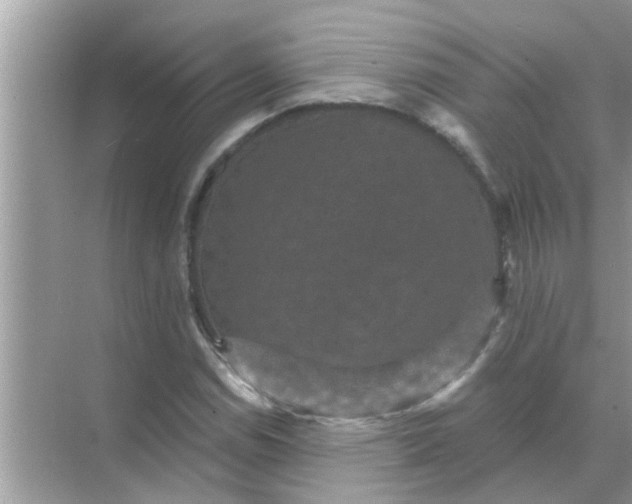 X0000070861114200606302039