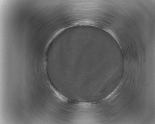 X0000070861115200606302039