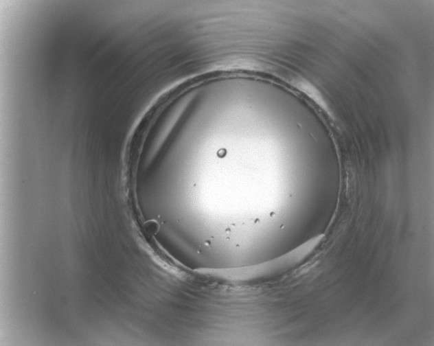 X0000070861116200606302039