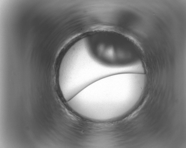 X0000070861117200606302039