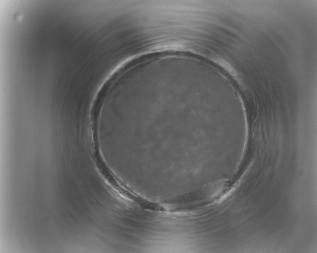 X0000070861118200606302039