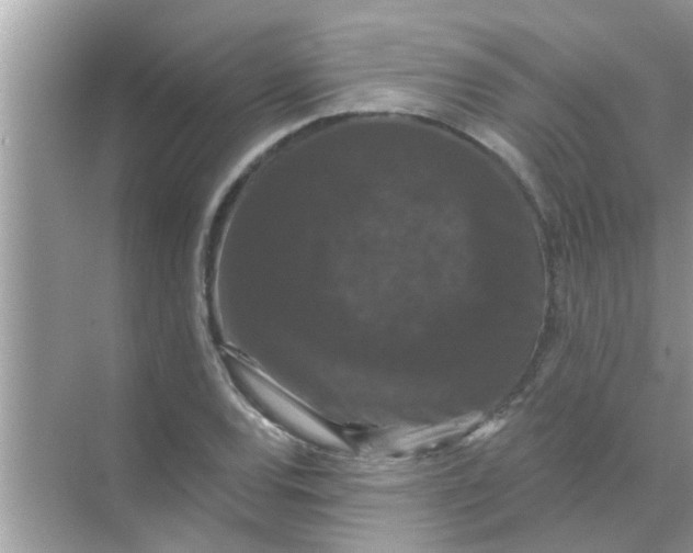 X0000070861120200606302039