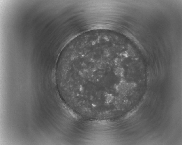 X0000070861121200606302039