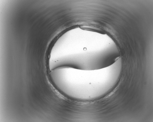 X0000070861122200606302039