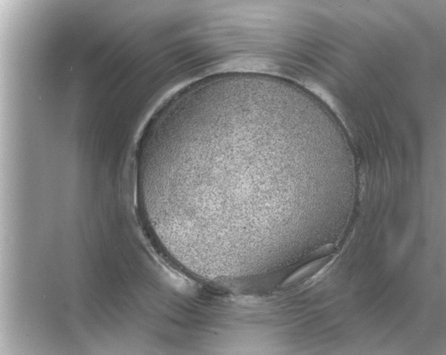 X0000070861123200606302039