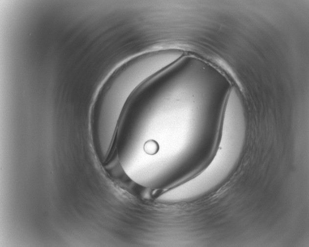 X0000070861124200606302039