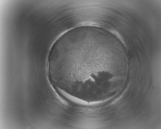 X0000070861125200606302039