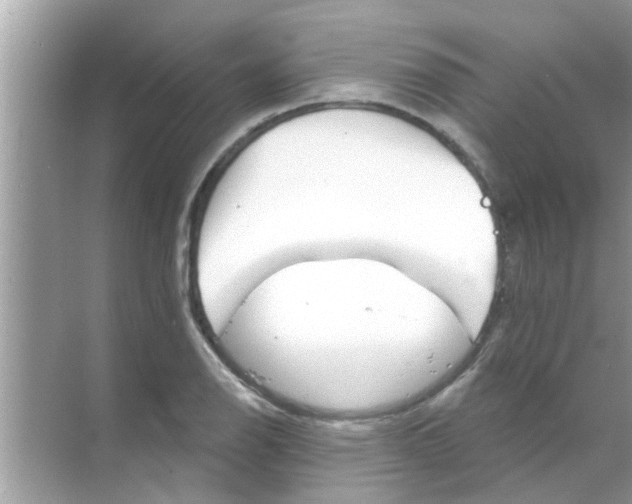 X0000070861126200606302039