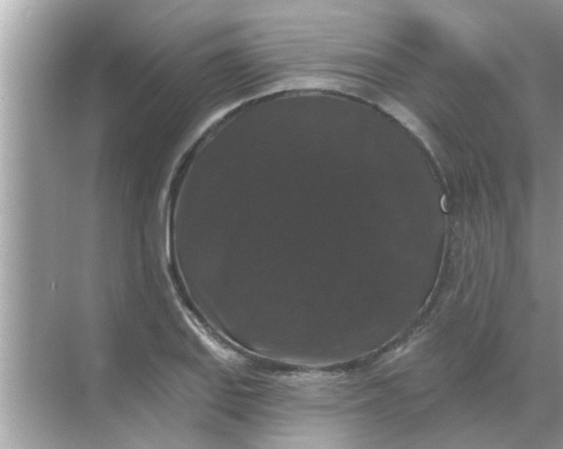 X0000070861127200606302039