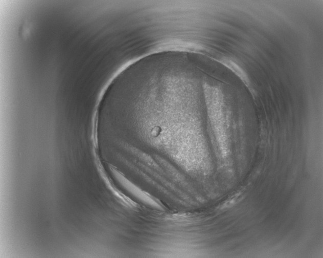 X0000070861128200606302039