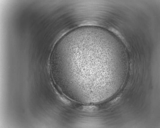 X0000070861129200606302039