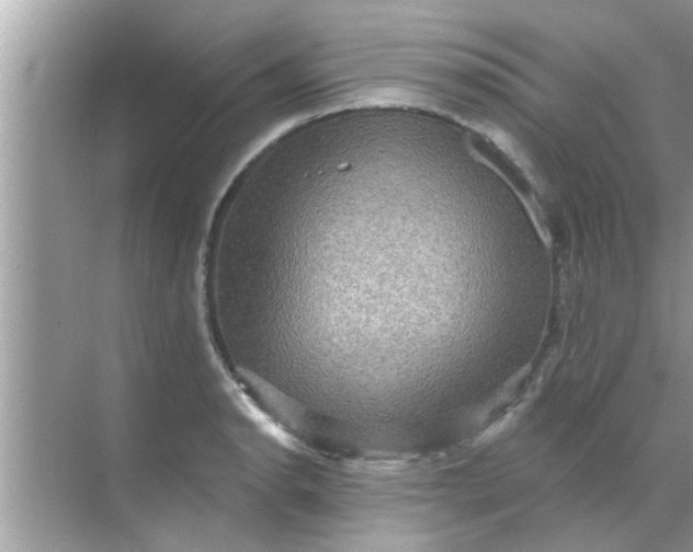 X0000070861134200606302039