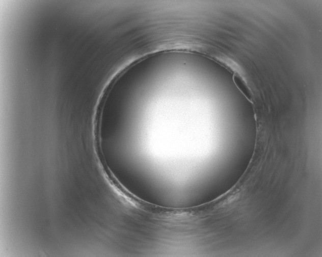 X0000070861135200606302039