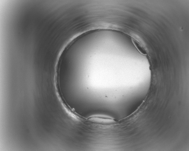 X0000070861136200606302039