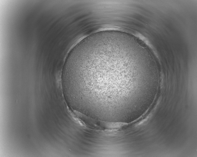 X0000070861137200606302039