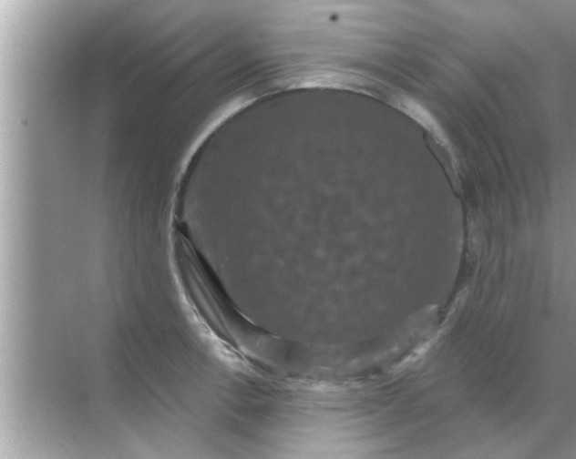 X0000070861138200606302039